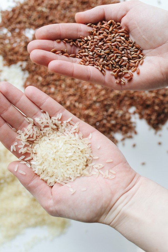 Exploring the Flavors of Mozambican Rice and Grain Dishes
